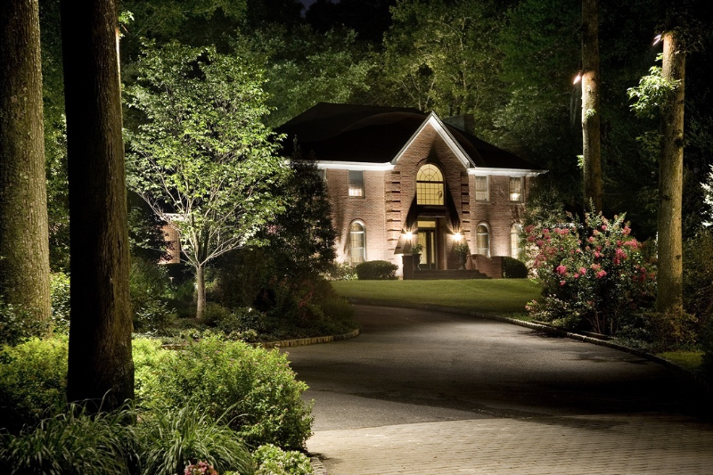 Enhancing Central Florida's Natural Beauty with Outdoor Lighting Services