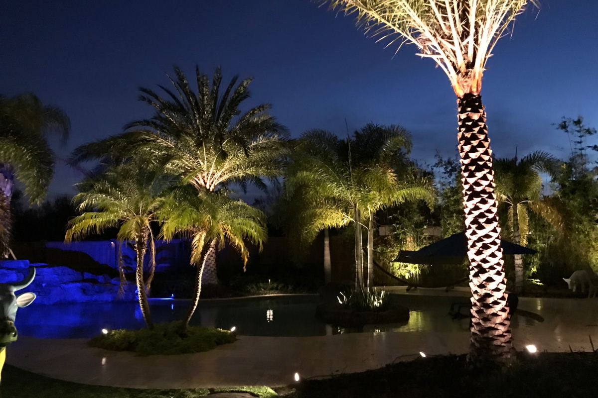 pool lighting company service in FL
