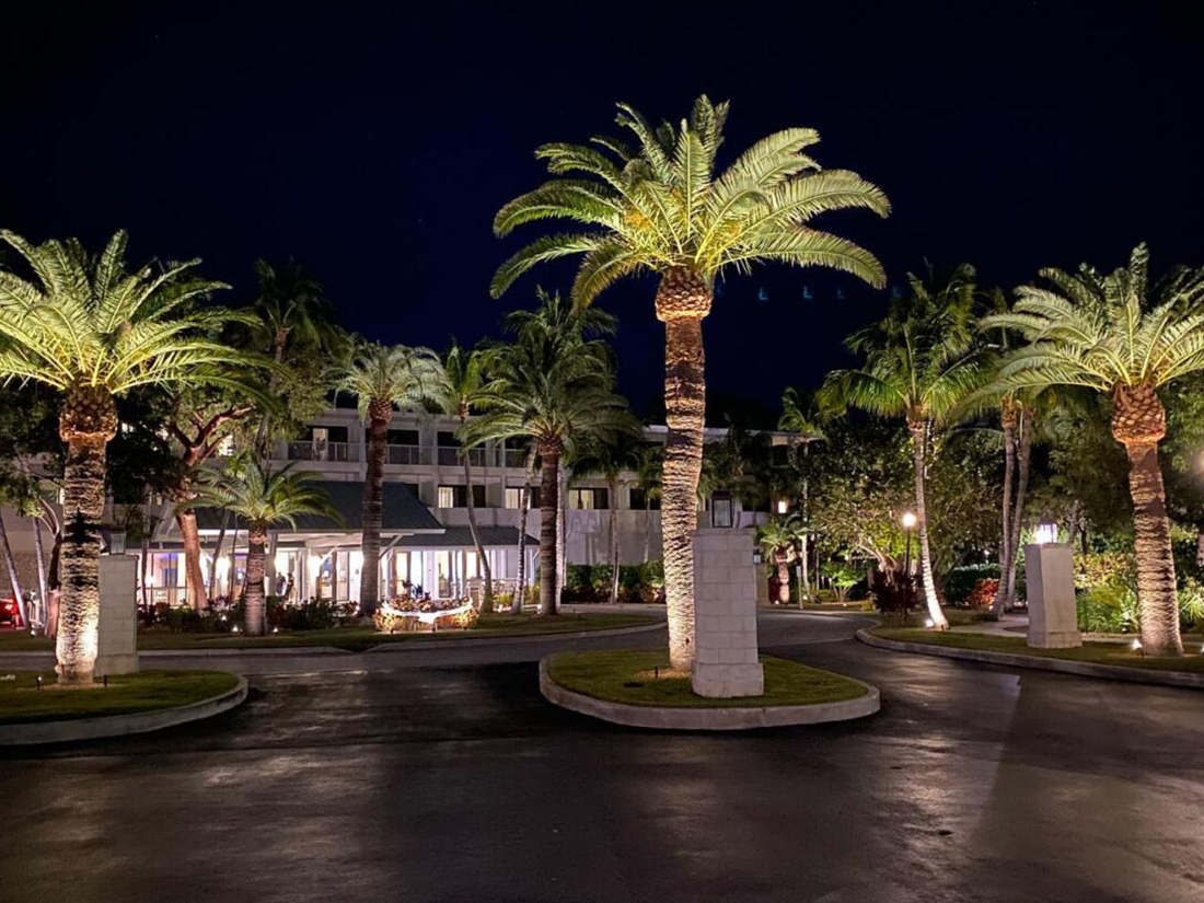 Outdoor lighting for palm trees in Olrando FL