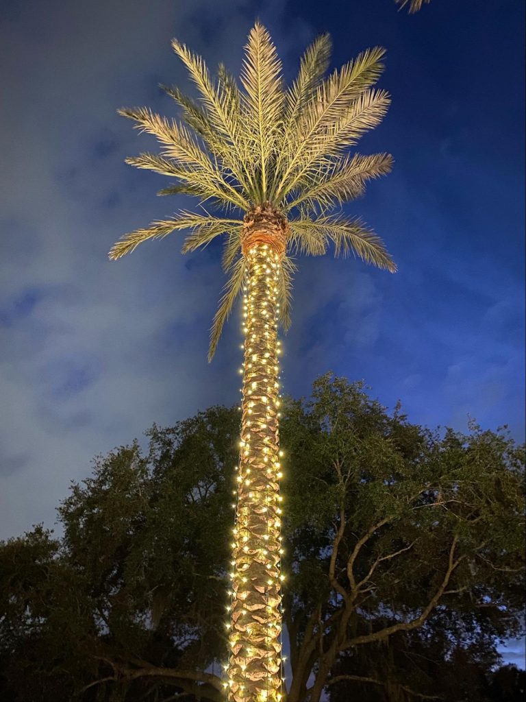 Holiday outdoor lighting in Winter Park, FL